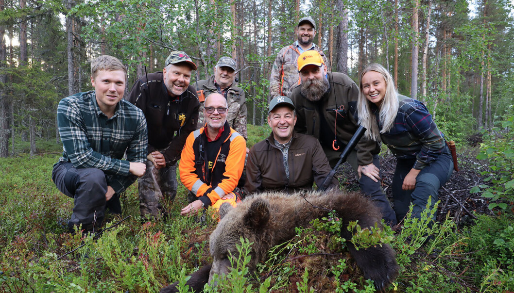 Lyckad björnjakt för jägarna i Gålvattenbergets jaktlag. Lyckad björnjakt för jägarna i Gålvattenbergets jaktlag.