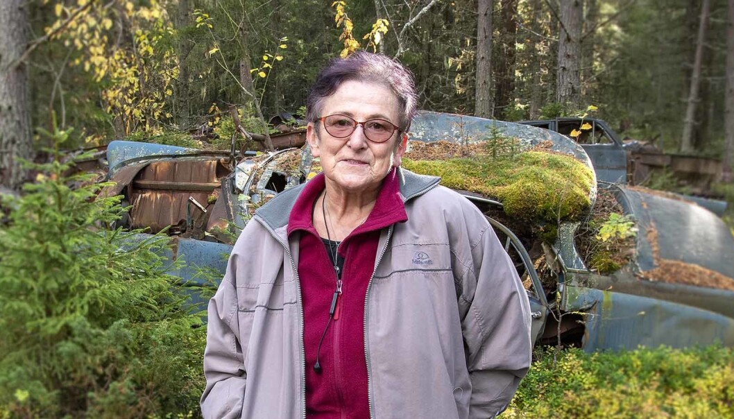 - Det är fascinerande hur dom nästan äts upp av skogen och blir ett med den, det växer mossa och till och med små granar på bilarna, säger Ewa. - Det är fascinerande hur dom nästan äts upp av skogen och blir ett med den, det växer mossa och till och med små granar på bilarna, säger Ewa.