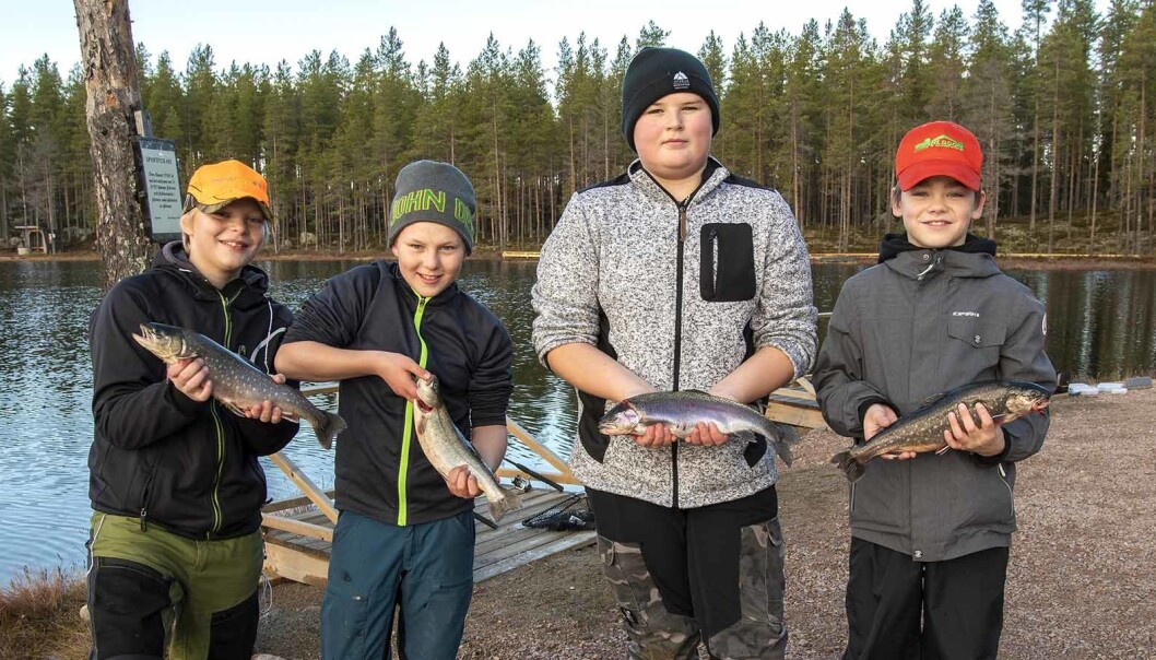 Ett lyckat fiskafänge vid Stortjärn. Från vänster: Sam Landgren, Erik Nordin, Kevin Nyström Olsson och Ville Silversnö. Ett lyckat fiskafänge vid Stortjärn. Från vänster: Sam Landgren, Erik Nordin, Kevin Nyström Olsson och Ville Silversnö.