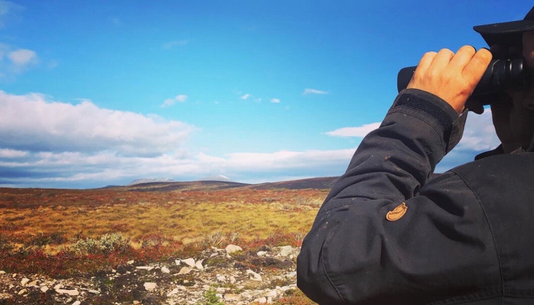 - Vi har fört otroligt mycket dialog med alla berörda. Det finns en gräns för hur mycket man kan böja sig. Min känsla är att om inte staten löser detta så kan man som kolonialmakt lika gärna komma och skjuta oss, säger Marcus Rensberg med eftertryck. - Vi har fört otroligt mycket dialog med alla berörda. Det finns en gräns för hur mycket man kan böja sig. Min känsla är att om inte staten löser detta så kan man som kolonialmakt lika gärna komma och skjuta oss, säger Marcus Rensberg med eftertryck.
