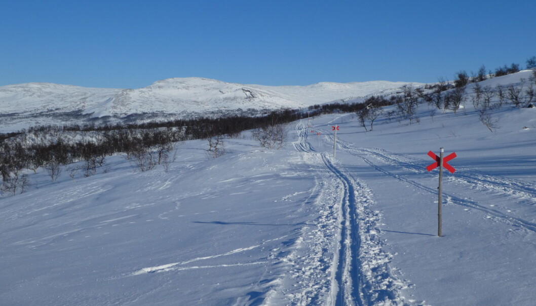 Vinterleden mellan Storulvån och Blåhammaren. Vinterleden mellan Storulvån och Blåhammaren.