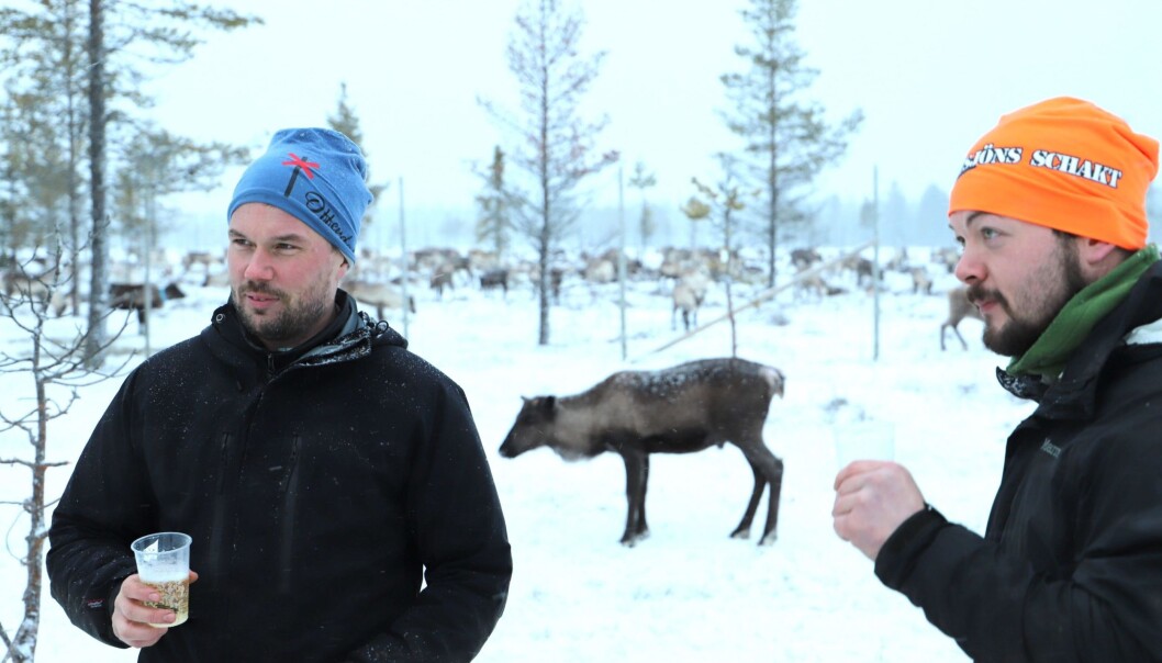 Renägare Thomas Fjällberg, Njaarke Sameby t v med arbetskollegan Olof Rothoff släppte strax före jul ut renarna på området där Affloardal Energi vill bygga storskalig vindkraft. Då gladdes Samebyn åt att kommunen avslagit arrendeavtal med vindbolaget. Men en minoritet av de berörda markägarna ger sig inte och fortsätter driva idéen med storskalig vindkraft på platsen, trots kraftig opinion emot och många intressekonflikter. Renägare Thomas Fjällberg, Njaarke Sameby t v med arbetskollegan Olof Rothoff släppte strax före jul ut renarna på området där Affloardal Energi vill bygga storskalig vindkraft. Då gladdes Samebyn åt att kommunen avslagit arrendeavtal med vindbolaget. Men en minoritet av de berörda markägarna ger sig inte och fortsätter driva idéen med storskalig vindkraft på platsen, trots kraftig opinion emot och många intressekonflikter.