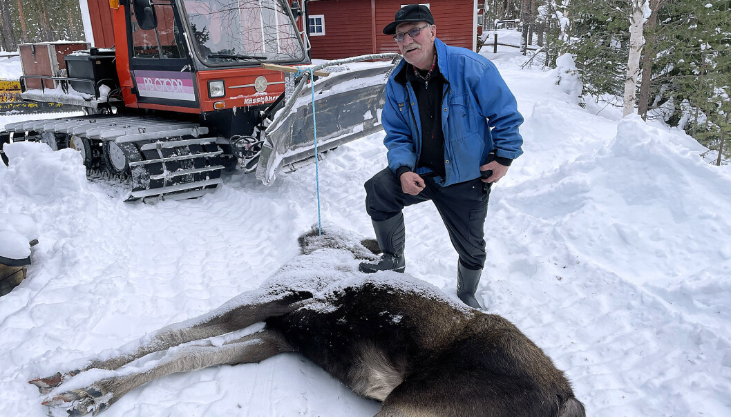 Det här var en liten annan form av älgjakt, sa Gunnar Myhr. Det här var en liten annan form av älgjakt, sa Gunnar Myhr.