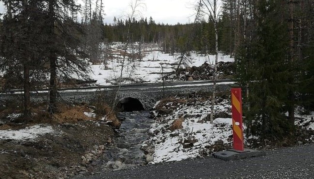 De två nyanlagda trummorna ska säkra passagerna för fiskar och mindre däggdjur som utter. Men de boende menar att det inte finns några uttrar där. De två nyanlagda trummorna ska säkra passagerna för fiskar och mindre däggdjur som utter. Men de boende menar att det inte finns några uttrar där.