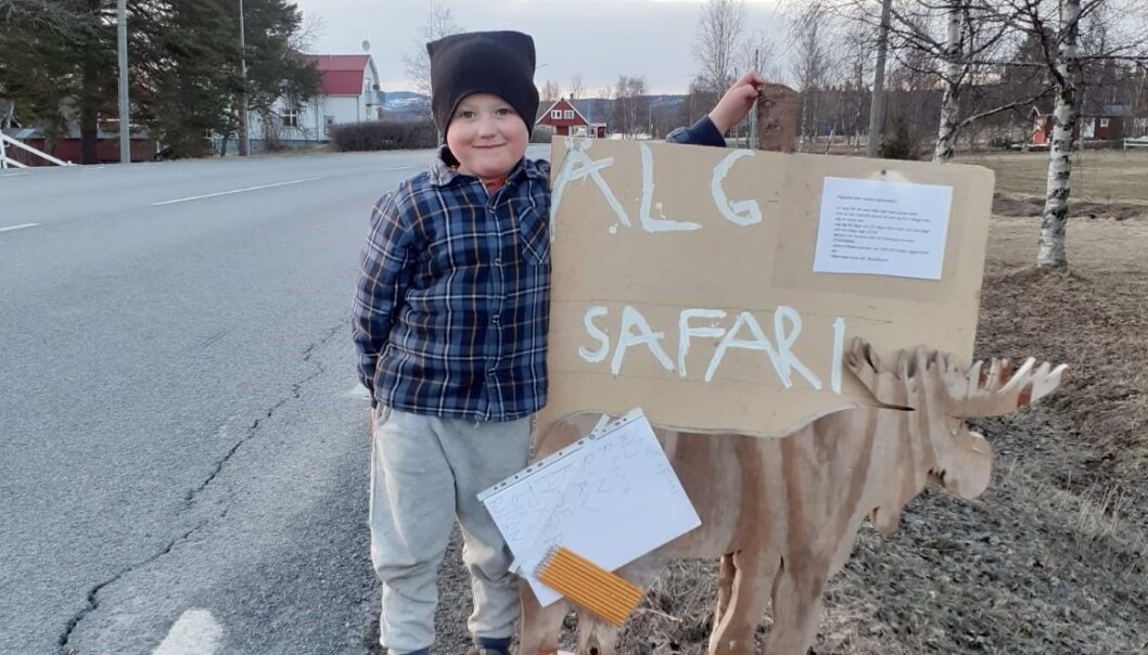 Einar Kristensen, fem år, ordnar älgsafari i Bonäshamn. Einar Kristensen, fem år, ordnar älgsafari i Bonäshamn.