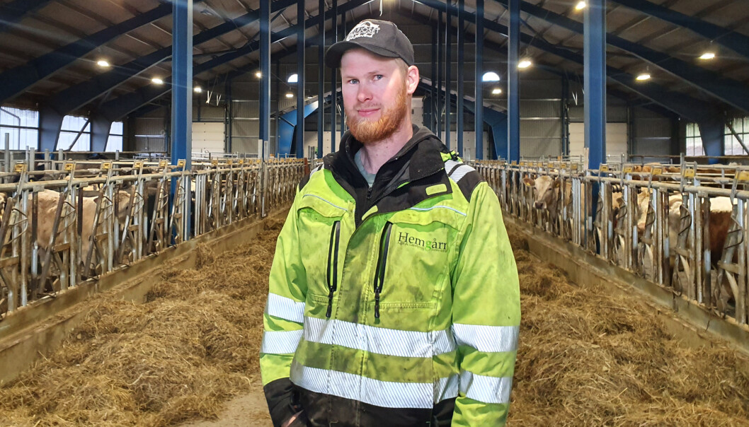 – Vi har massor av nöjda kunder som nu blir riktigt ledsna och kommer att sakna vårat kött. I fortsättningen kommer vi att sälja våra kalvar till vidare uppfödning hos andra köttbönder. Det blir i stort sett samma vinst som med all hantering runt slakten men med betydligt mindre arbetsinsats, förklarar Magnus Olsson. – Vi har massor av nöjda kunder som nu blir riktigt ledsna och kommer att sakna vårat kött. I fortsättningen kommer vi att sälja våra kalvar till vidare uppfödning hos andra köttbönder. Det blir i stort sett samma vinst som med all hantering runt slakten men med betydligt mindre arbetsinsats, förklarar Magnus Olsson.