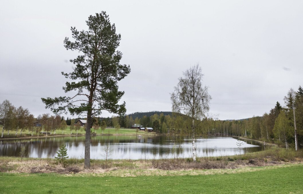 Den här lilla tjärnen i Näset vill byborna väcka liv i igen. Den här lilla tjärnen i Näset vill byborna väcka liv i igen.