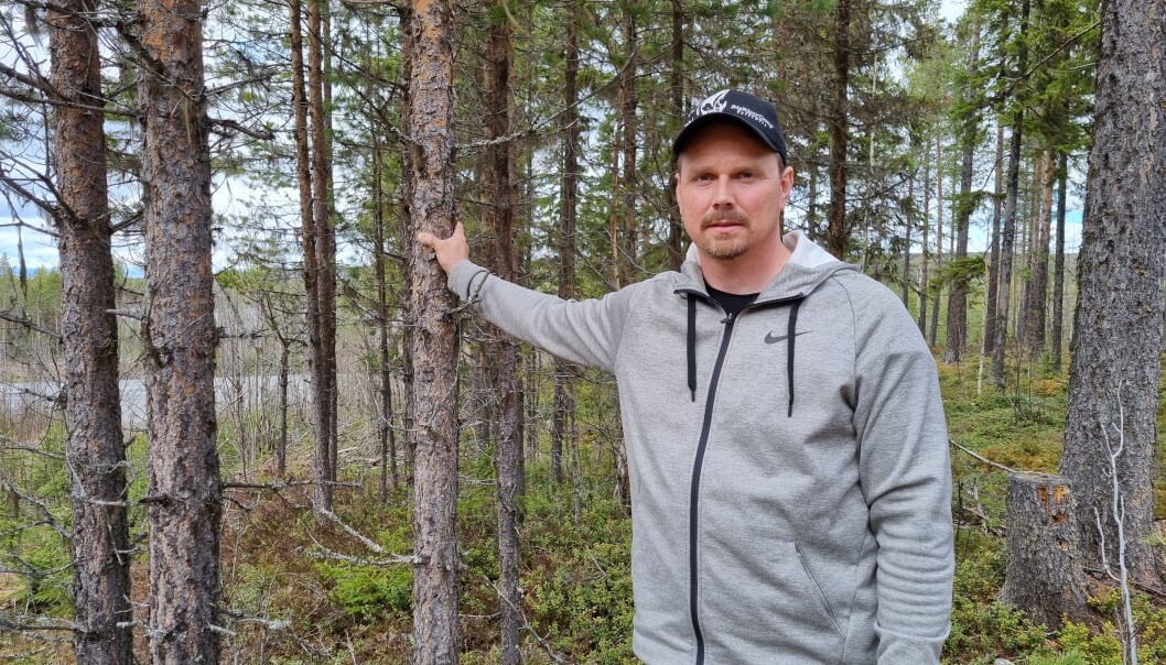 Berne Brenje satsar på Mibbark i Bredkälen Foto: Privat Berne Brenje satsar på Mibbark i Bredkälen Foto: Privat