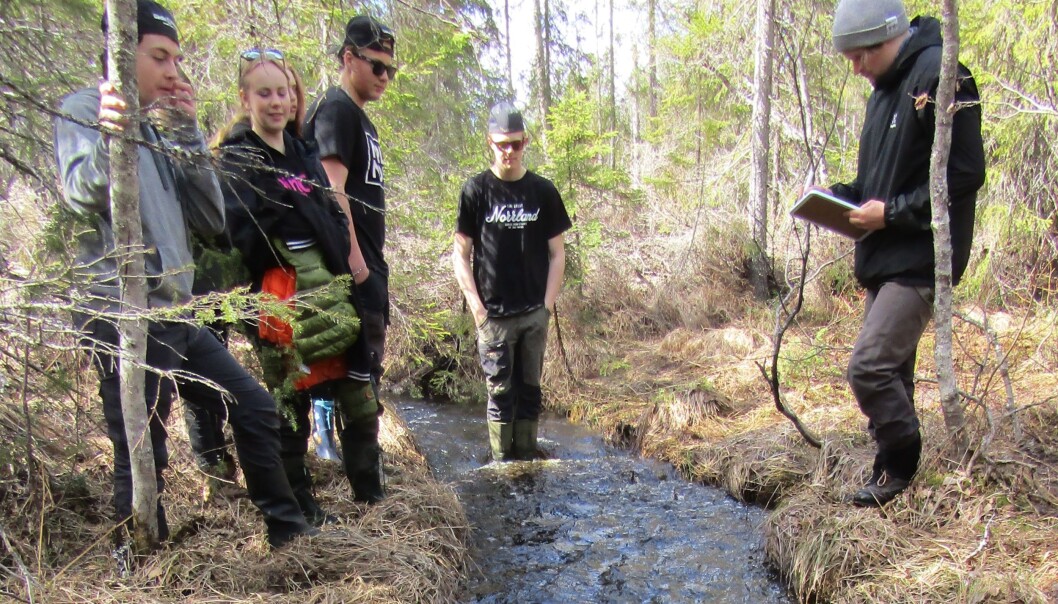 Det blev Andån i Föllinge som valdes ut för projektet Skolbäcken. Foto: Anders Magnusson Det blev Andån i Föllinge som valdes ut för projektet Skolbäcken. Foto: Anders Magnusson