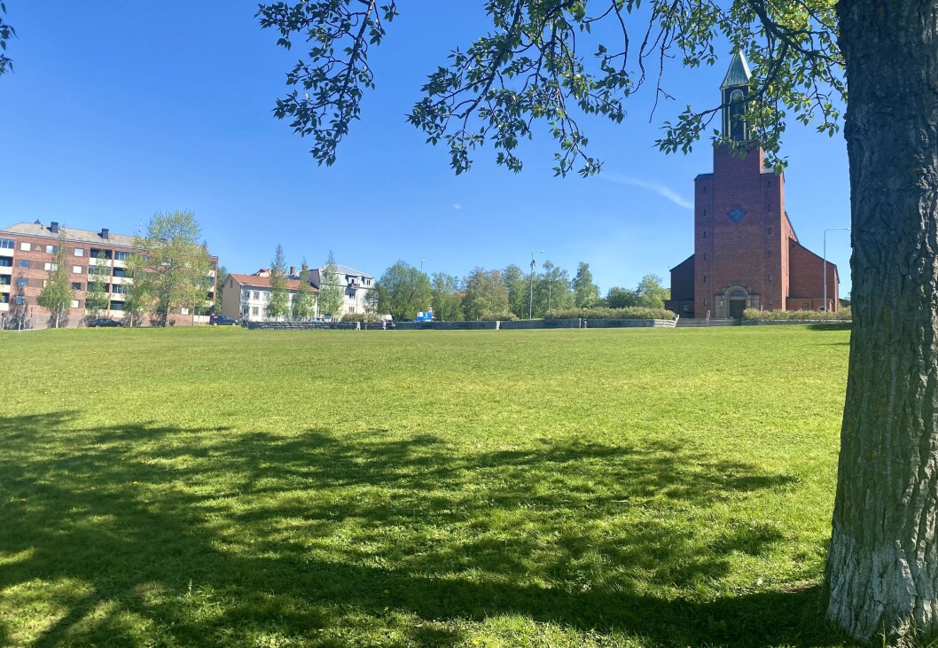 En ljuspunkt i historien var de privatpersoner som såg till att parken rensades på skräp under söndagen. Nu ser det betydligt trevligare ut. En ljuspunkt i historien var de privatpersoner som såg till att parken rensades på skräp under söndagen. Nu ser det betydligt trevligare ut.