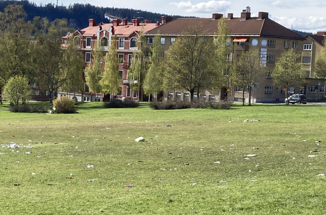 Så här såg Österängsparken ut efter förra fredagens festande. “Det är beklämmande”, säger Ulf Norlén, gatuchef på Östersunds kommun. Så här såg Österängsparken ut efter förra fredagens festande. “Det är beklämmande”, säger Ulf Norlén, gatuchef på Östersunds kommun.