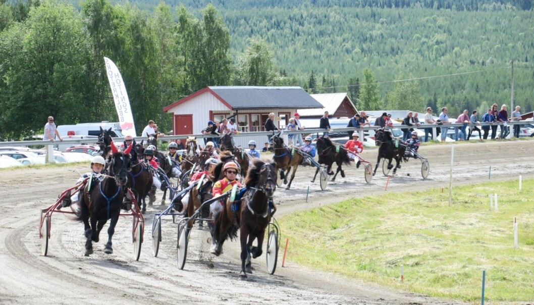 Travvecka utan publik i år. Travveckan i Hoting har varit årets publikdragare i över 50 år. Travvecka utan publik i år. Travveckan i Hoting har varit årets publikdragare i över 50 år.