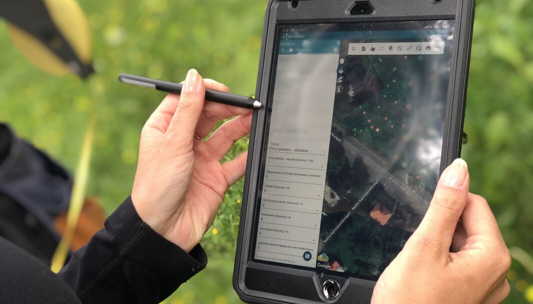 Programmet Kartsmart fylls med information om bland annat stammens omkrets, geografiska plats och om det finns några skador på trädet. Programmet Kartsmart fylls med information om bland annat stammens omkrets, geografiska plats och om det finns några skador på trädet.
