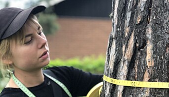 Agnes Jonasson mäter omkretsen på en tallstam varpå Frida Lundgren registrerar måttet i programmet Kartsmart i surfplattan. Agnes Jonasson mäter omkretsen på en tallstam varpå Frida Lundgren registrerar måttet i programmet Kartsmart i surfplattan.