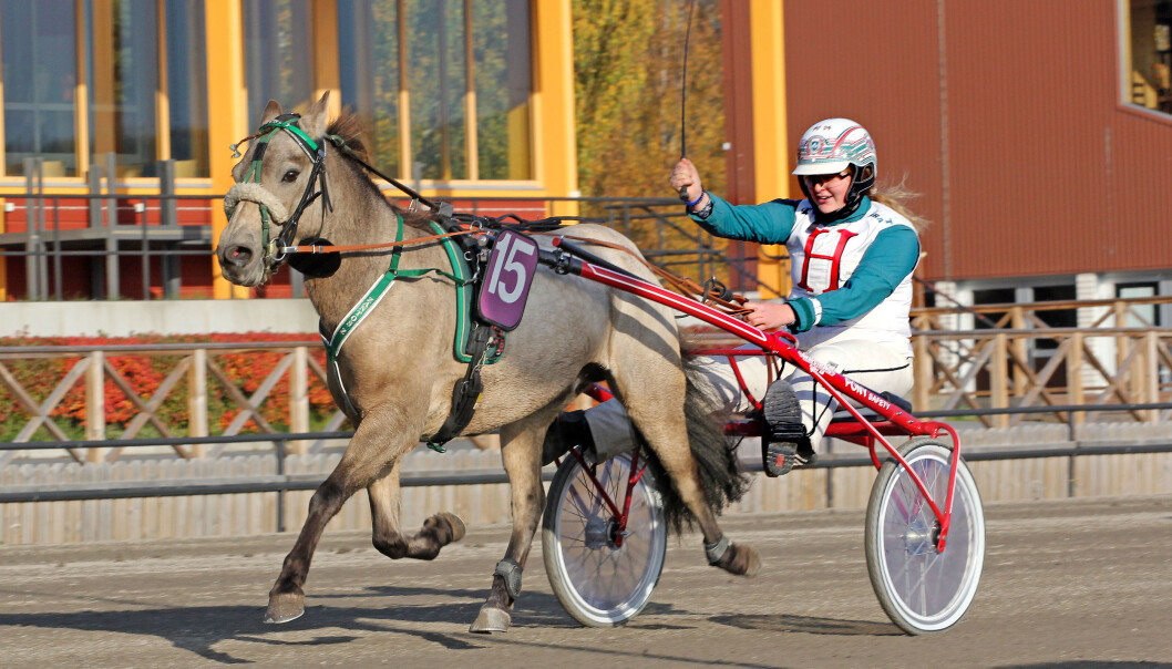 Hannah Norredahl har tävlat många tävlingar med sin unga häst Zantos. I år fick de för första gången delta i Elitloppet. Hannah Norredahl har tävlat många tävlingar med sin unga häst Zantos. I år fick de för första gången delta i Elitloppet.