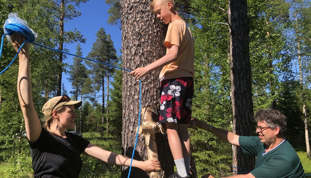 Emil Eriksson hjälper ledarna Helvi Rosendahl och Hans Olof Carlsson med att bygga en balanslina. Stegen är också barnens skapelse. Emil Eriksson hjälper ledarna Helvi Rosendahl och Hans Olof Carlsson med att bygga en balanslina. Stegen är också barnens skapelse.