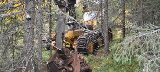 Skogen slukar urskördaren - ett maskinmysterium i länet