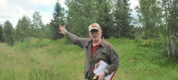 Möjlig arkeologisk sensation i Nordbyn: försvarsborg från folkvandringstiden Möjlig arkeologisk sensation i Nordbyn: försvarsborg från folkvandringstiden