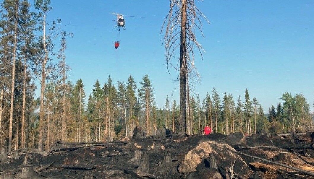 Branden i Bräntberget kunde bekämpas med hjälp av helikoptrar från MSB. Foto: Räddningstjänsten Jämtland