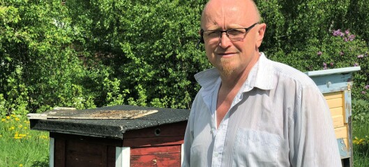 Normalår för biodlaren i Hammarstrand - räknar med 800 kilo honung