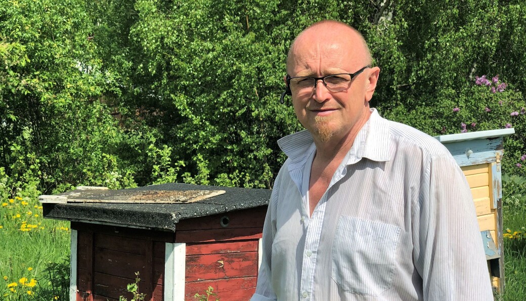 Stefan Sandberg, biodlare i Hammarstrand räknar med ungefär 800 kilo honung i år. Stefan Sandberg, biodlare i Hammarstrand räknar med ungefär 800 kilo honung i år.