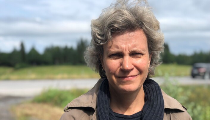 Ingeborg Israelsson säger att det är illa nog att barn i högstadiet ska behöva korsa E14 för att ta sig till bussen. Ingeborg Israelsson säger att det är illa nog att barn i högstadiet ska behöva korsa E14 för att ta sig till bussen.