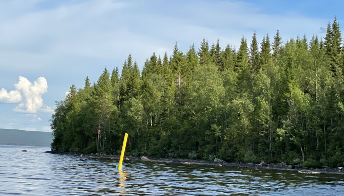 Här är en markeringspinne så nära land att det är svårt att passera. Den ligger inte där Länsstyrelsen beslutat att de yttre hörnmarkeringarna på fiskodlingens område ska vara. Här är en markeringspinne så nära land att det är svårt att passera. Den ligger inte där Länsstyrelsen beslutat att de yttre hörnmarkeringarna på fiskodlingens område ska vara.