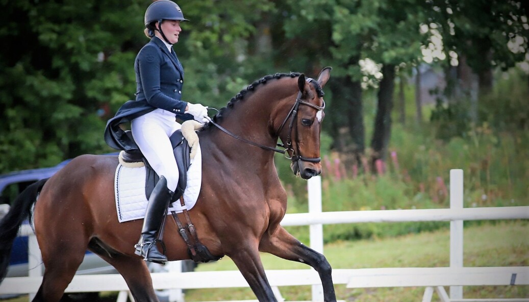 Madelen Toresson debuterade i klassen Intermédiaire I med sin häst Esparado. Madelen som vann förra söndagens tävling känner sig jättenöjd och satsar nu på nya mål. Foto: Karin Jönsson Madelen Toresson debuterade i klassen Intermédiaire I med sin häst Esparado. Madelen som vann förra söndagens tävling känner sig jättenöjd och satsar nu på nya mål. Foto: Karin Jönsson