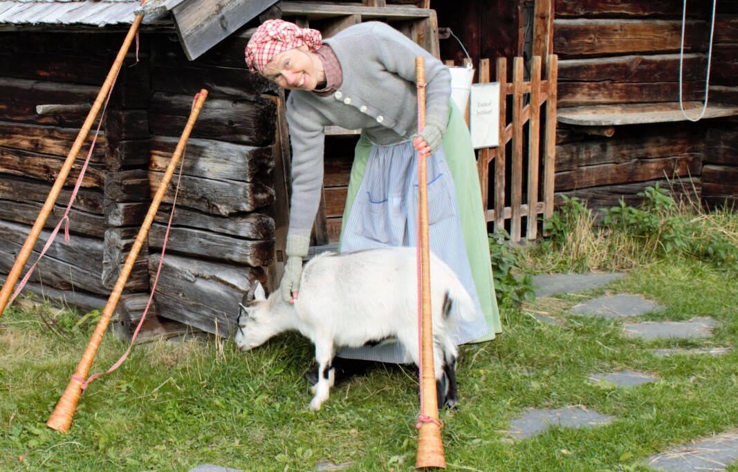 Åsa Okutani tar en paus från näverluren och klappar geten Solveig som är av rasen jämtget. ”Det är många som tror att det är olika raser eftersom de ser så olika ut” säger den andra butösen för dagen, Tilda Lindqvist. Åsa Okutani tar en paus från näverluren och klappar geten Solveig som är av rasen jämtget. ”Det är många som tror att det är olika raser eftersom de ser så olika ut” säger den andra butösen för dagen, Tilda Lindqvist.