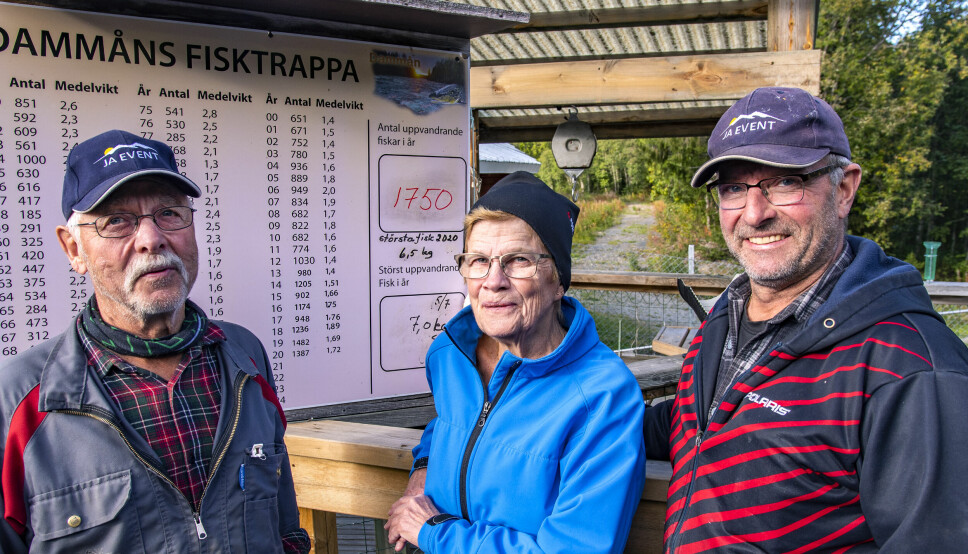 Roger och Agneta Staaf tillsammans med Lasse Albertsson kammade noll den sista tömningen för säsongen vid Dammåns fisktrappa.