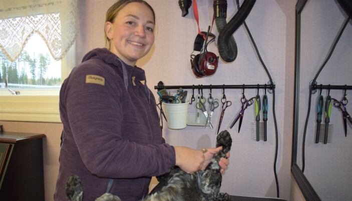 Här får cockerspanieln sina klor klippta. Här får cockerspanieln sina klor klippta.