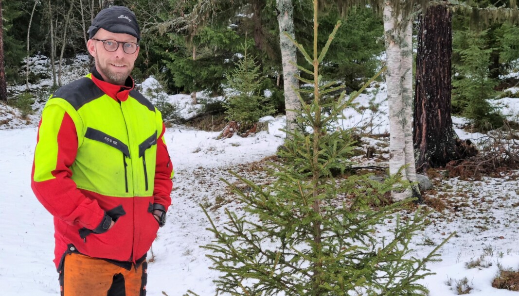 Fredrik Eliasson äger marken och är den som kommit upp med idén med julgran på rot.