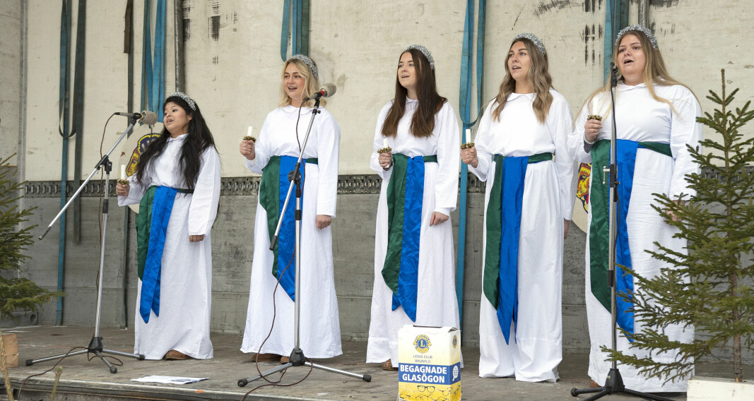Fem av de sju kandidaterna till Jämtlandslucia sjöng på julmarknaden i Brunflo under lördagen.