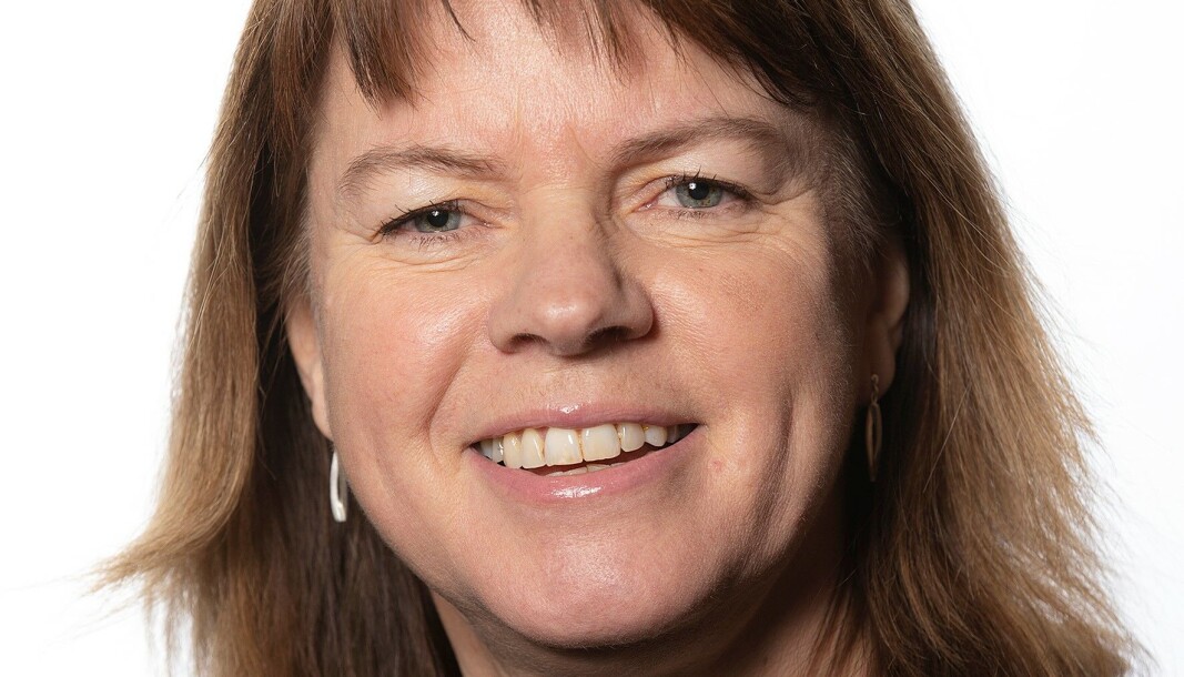 Karin Jonsson, kommunstyrelsens ordförande, berättar om samrådet som hölls den 16 december angående Tornäs. Karin Jonsson, kommunstyrelsens ordförande, berättar om samrådet som hölls den 16 december angående Tornäs.