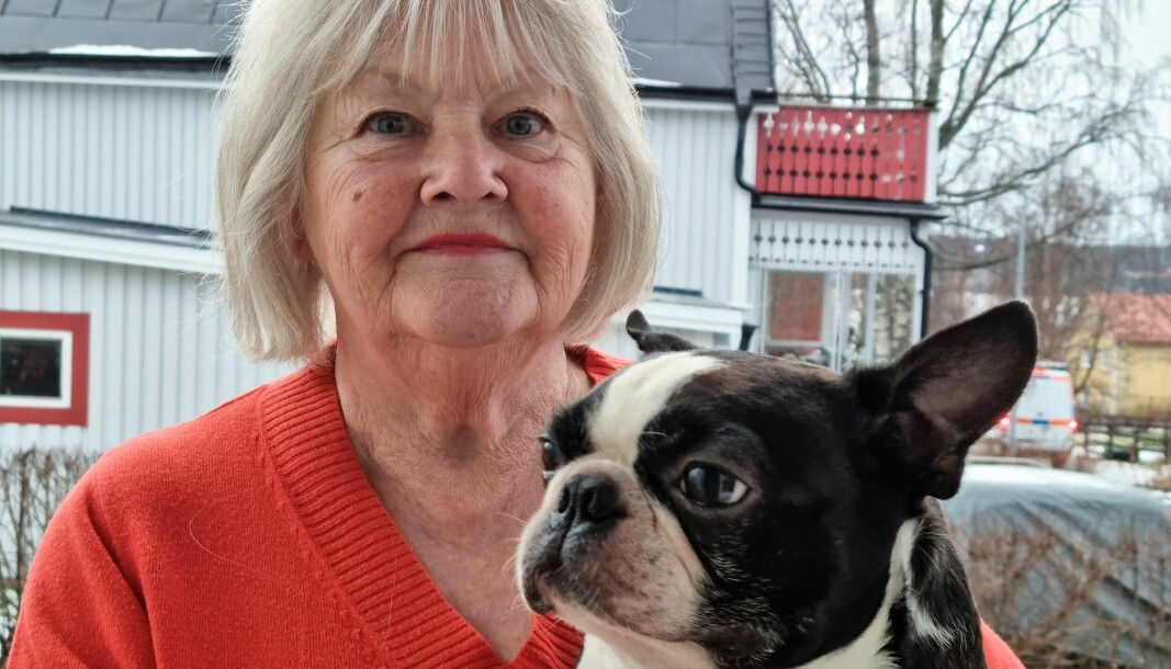 Inger Jansson är en av endast två kennelkonsulenter som ska besöka alla 350 kennlar som finns i länet. Här med sin egen hund, en Bostonterrier.