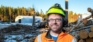 Vedkris i landet men i Rätan finns ved Vedkris i landet men i Rätan finns ved