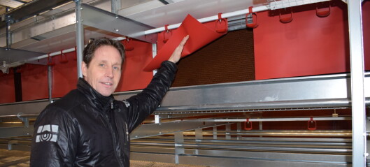 Nytt, lyxigt etageboende för 10 000 höns i Röde