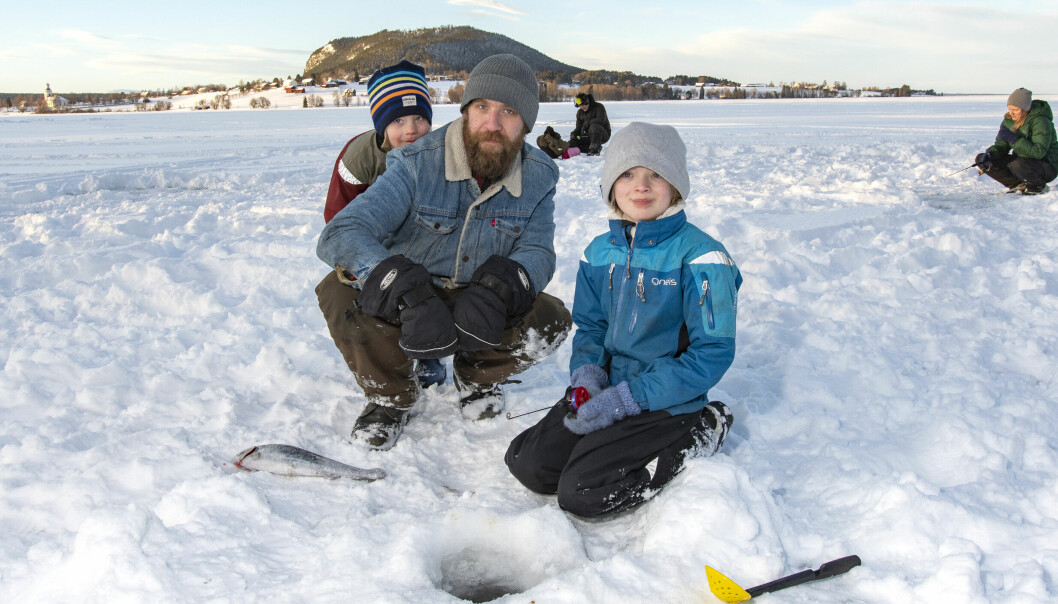 – Vårvintern är en favorit årstid för mig. Det är härligt att vara på isen och fika och mysa med familj och vänner, det är grejer det, säger Olle Möllervärn som bor i Skucku inte långt från viken. Här tillsammans med sönerna Arvid och Einar.
