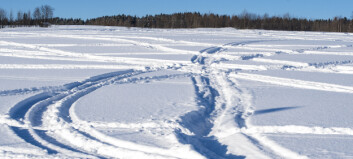 Kommunen beslutade om regleringsområde för snöskotrar i Lofsdalen