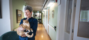 Katten Melker tillbaka på äldreboendet i Fåker – fick tänderna fixade efter upprop på sociala medier