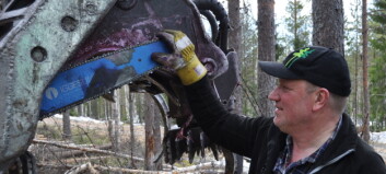 Brist på sågsvärd till skogsmaskiner riskerar stoppa avverkningar Brist på sågsvärd till skogsmaskiner riskerar stoppa avverkningar