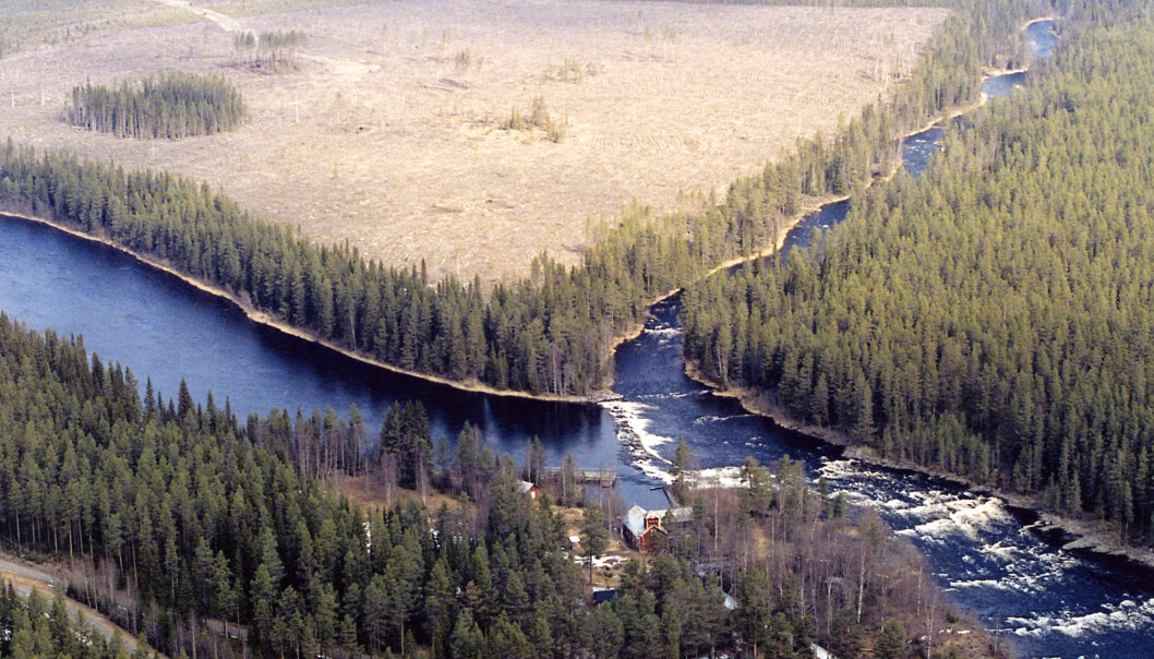 Långforsen Nedläggningen av Långforsens vattenkraftverk har nu kommit ett steg närmare.