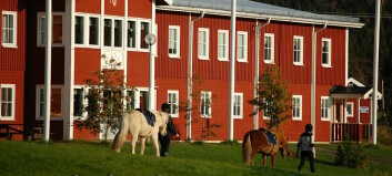 Islandshästvärlden sluter upp kring Wångens stulna sadlar
