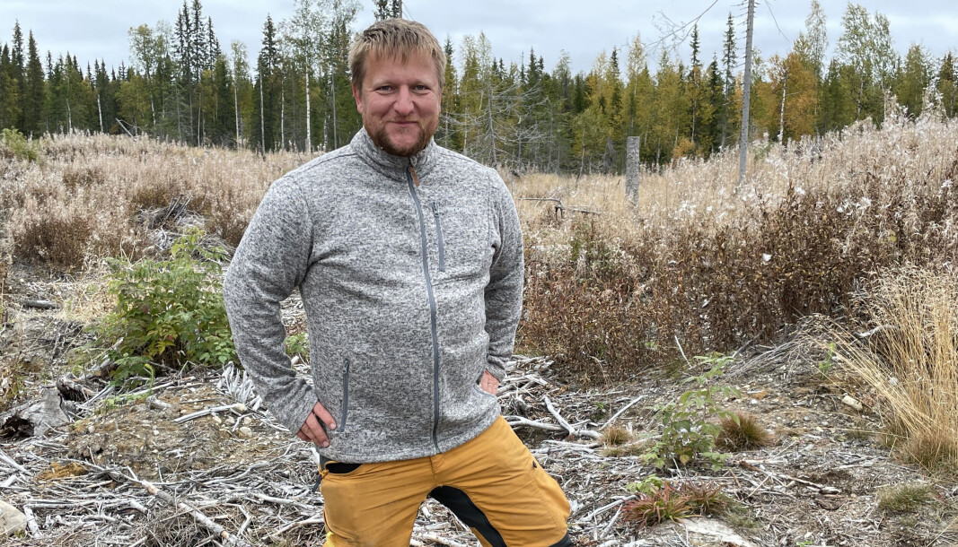 René Schiller har länge varnat för bemanningskris inom skogsvårdsbranschen. Nu kan Rysslands krig i Ukraina, samt Migrationsverkets beslut att neka arbetstillstånd, bli det som välter branschen. René Schiller har länge varnat för bemanningskris inom skogsvårdsbranschen. Nu kan Rysslands krig i Ukraina, samt Migrationsverkets beslut att neka arbetstillstånd, bli det som välter branschen.