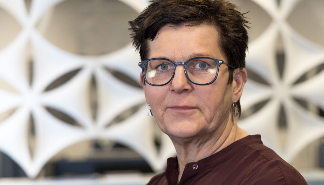 Jämtkraft levererade det starkaste resultatet någonsin, konstaterar Kerstin Arnemo, bolagets styrelseordförande . Jämtkraft levererade det starkaste resultatet någonsin, konstaterar Kerstin Arnemo, bolagets styrelseordförande .