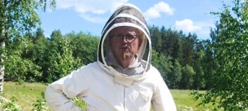 Stor efterfrågan på Stefans honung – sålde över 1000 kilo 2021 Stor efterfrågan på Stefans honung – sålde över 1000 kilo 2021