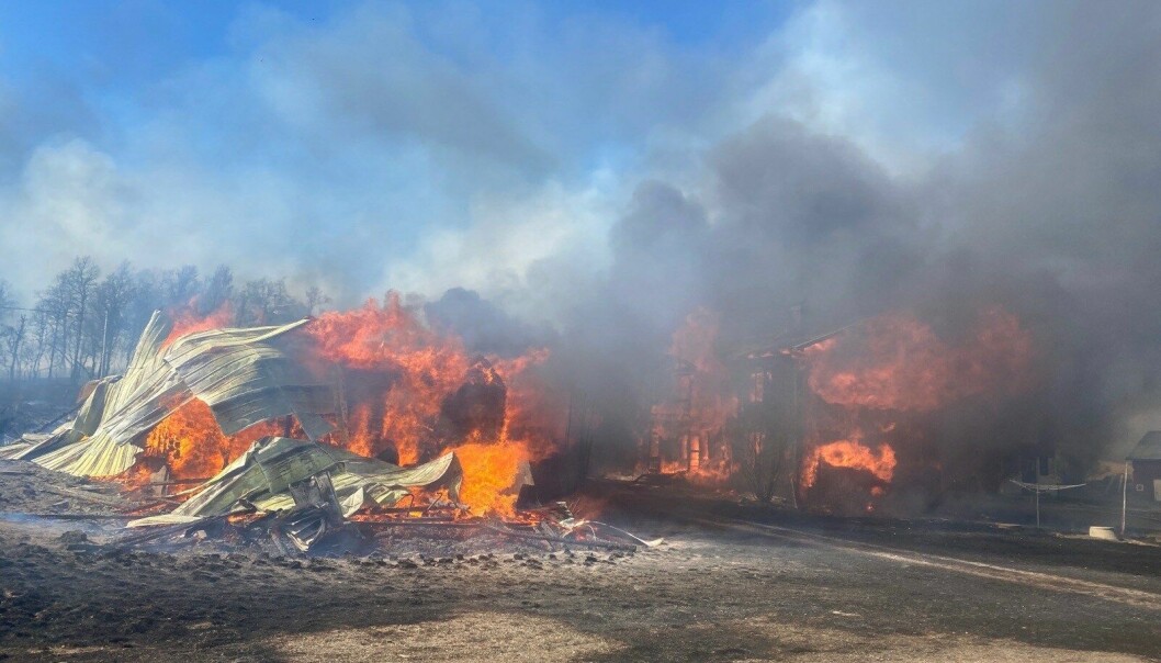 En våldsam brand utbröt i Lofsdalen i går.