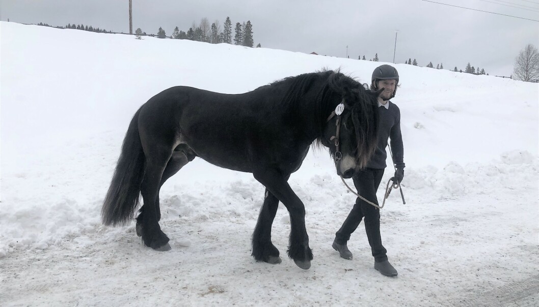 Anton Olofsson från Järpen med nordsvenska brukshästen Herman. Anton Olofsson från Järpen med nordsvenska brukshästen Herman.