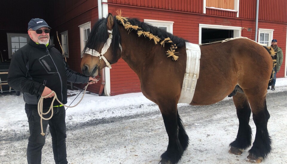 Christer Nilsson från Rydaholm med ardennern Rubell 11923, född 2012.
