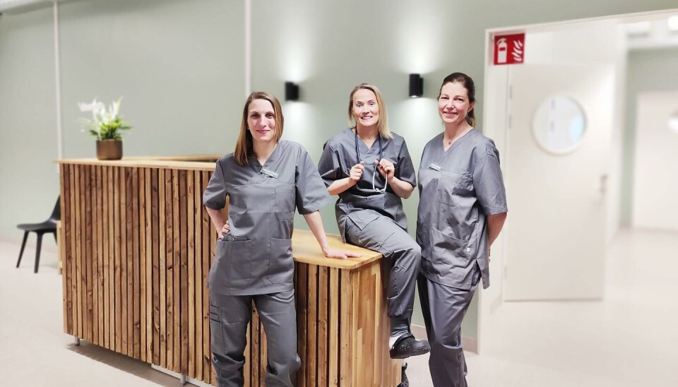 Personal på Dille Veterinärklinik.